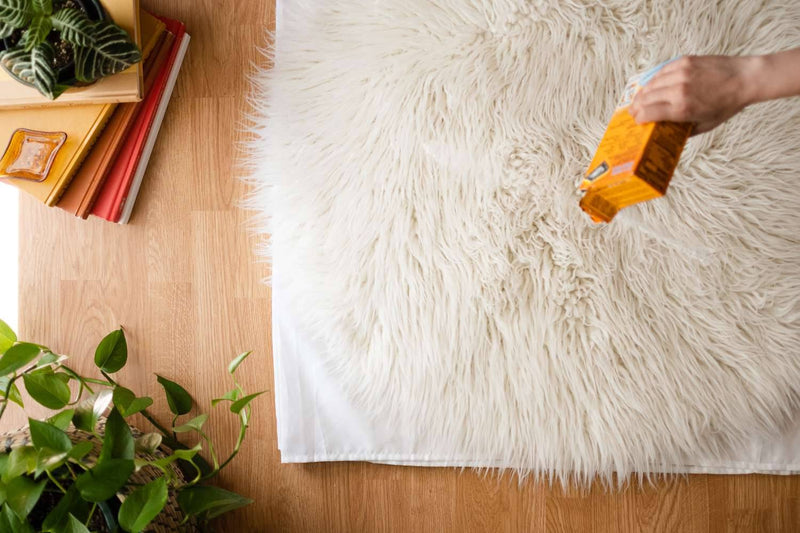 Conseils d'entretien pour les tapis à poils longs et épais