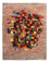Tapis Gabbeh - Loribaft Persan - Royal - 203 x 153 cm - multicolore