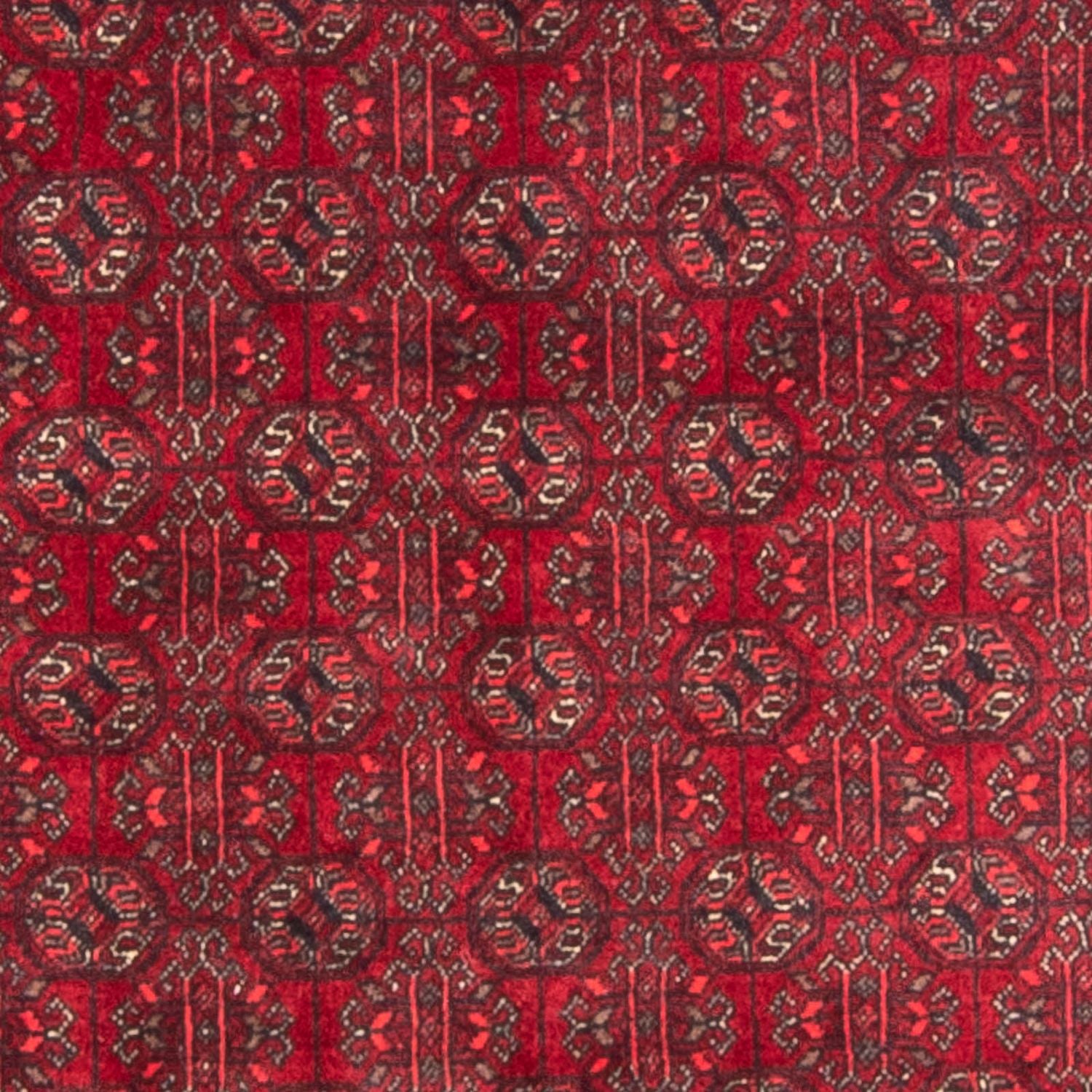 Tapis afghan - Boukhara - 196 x 124 cm - rouge