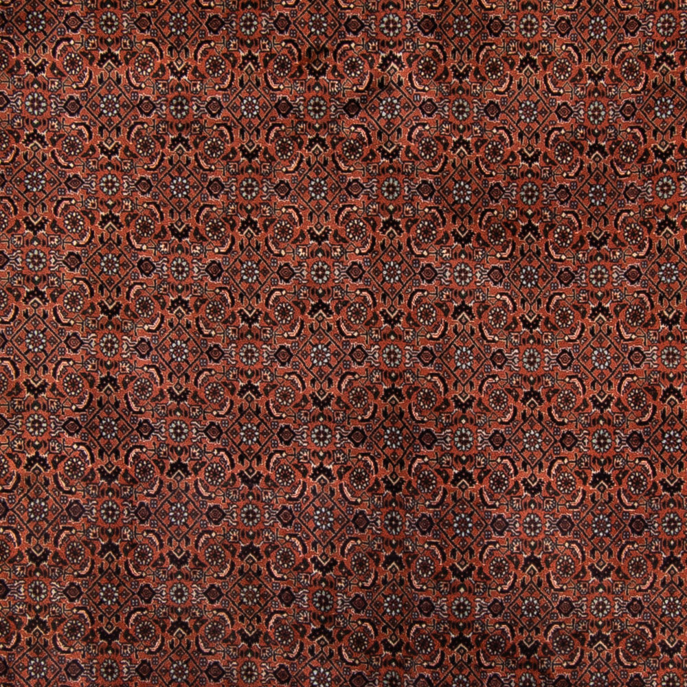 Tapis persan - Bidjar - Royal - 296 x 210 cm - marron