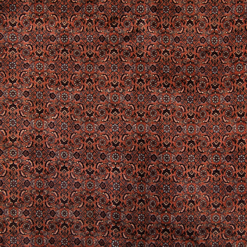 Tapis persan - Bidjar - Royal - 296 x 210 cm - marron