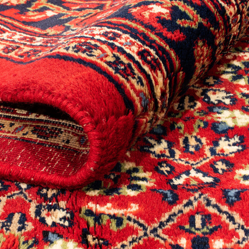 Tapis oriental - Bidjar - Indus - Royal - 308 x 198 cm - rouge
