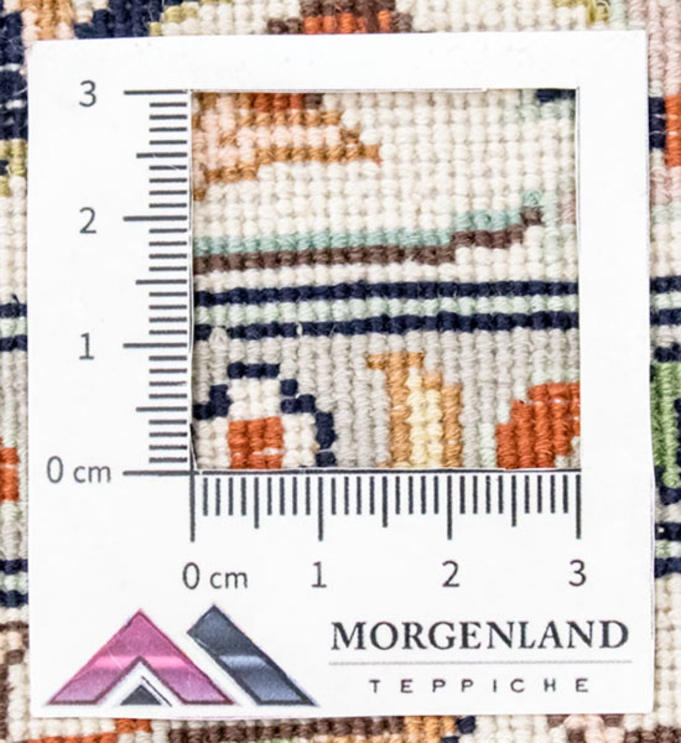 Tapis en soie - Soie du Cachemire - 308 x 204 cm - beige