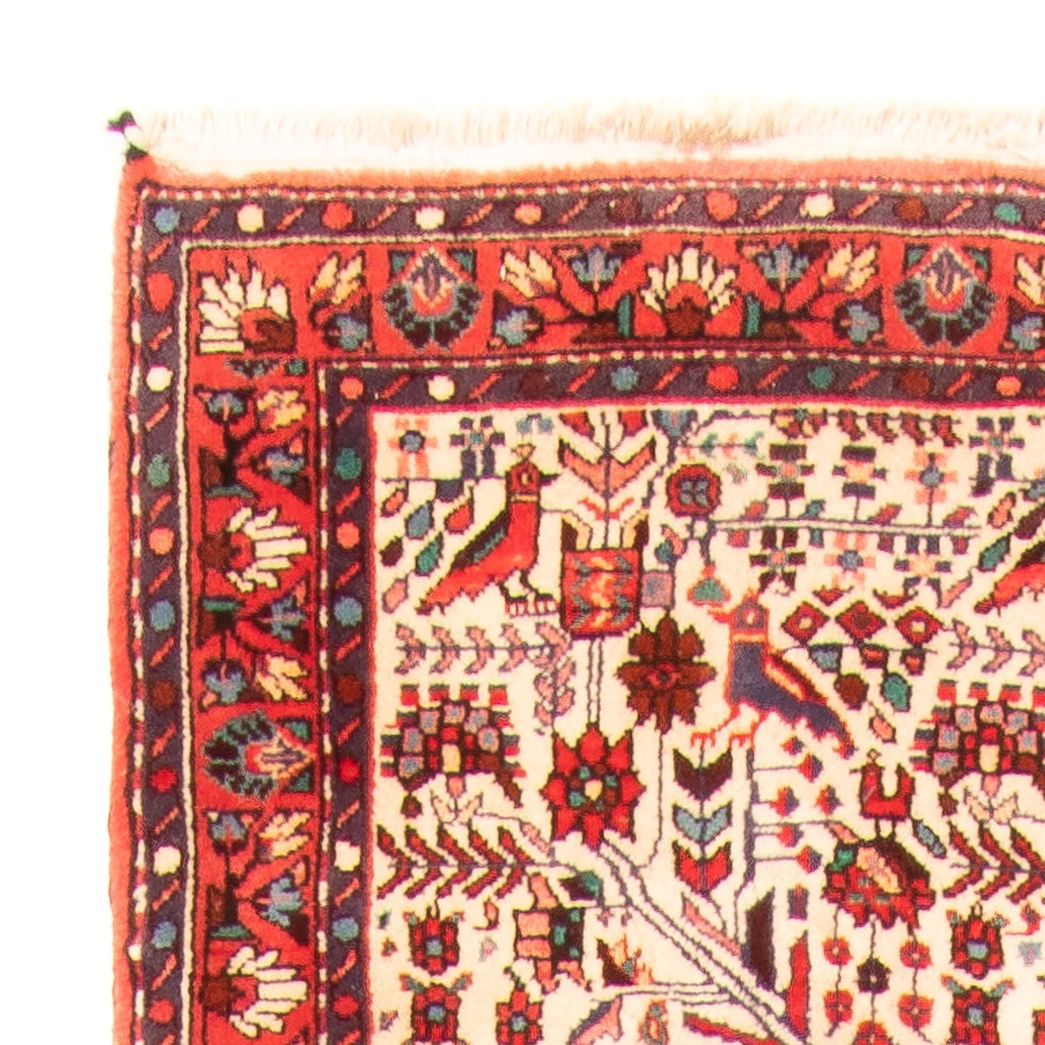 Tapis de couloir Tapis persan - Nomadic - 301 x 169 cm - beige