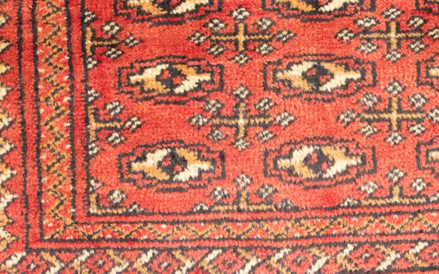 Tapis de couloir Tapis Turkaman - 100 x 50 cm - rouge