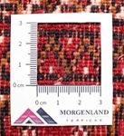 Tapis de couloir Tapis Turkaman - 100 x 50 cm - rouge