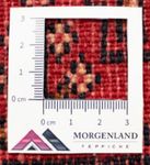Tapis de couloir Tapis Turkaman - 100 x 50 cm - rouge