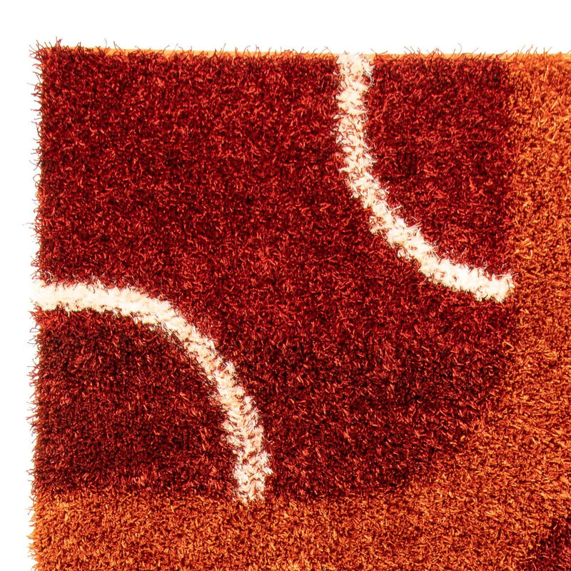 Tapis à poils longs - 316 x 220 cm - marron