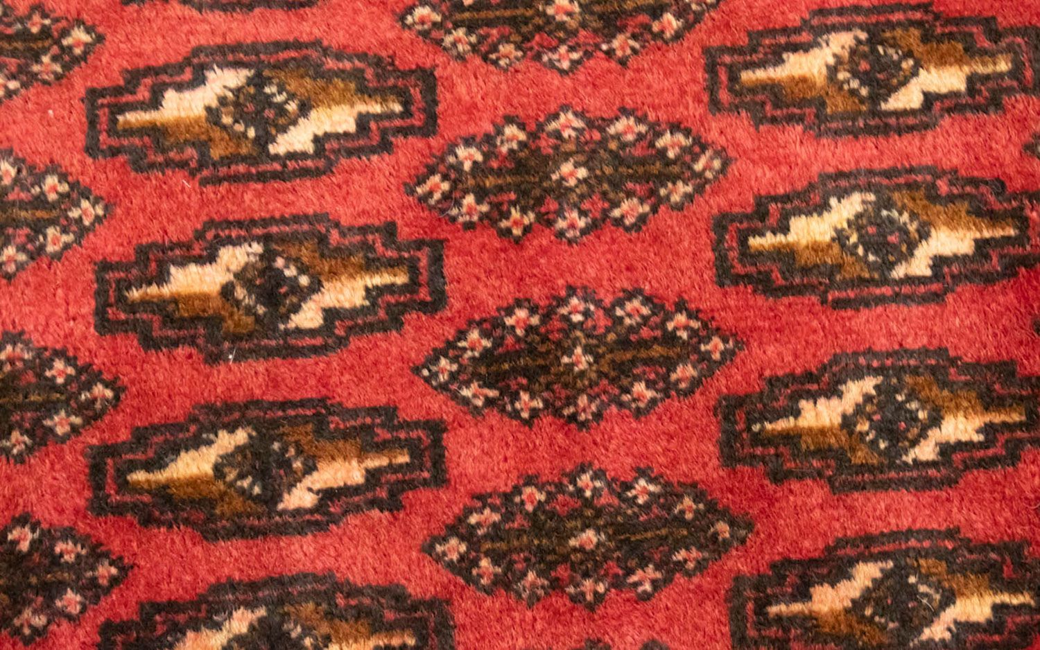 Tapis de couloir Tapis Turkaman - 100 x 50 cm - rouge