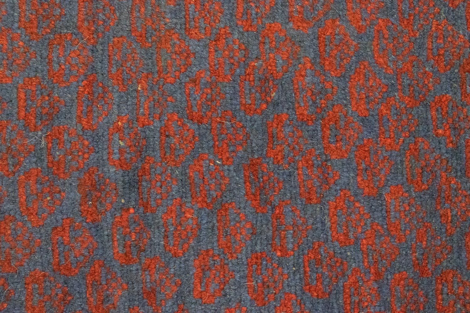 Tapis Belutsch - 138 x 82 cm - bleu