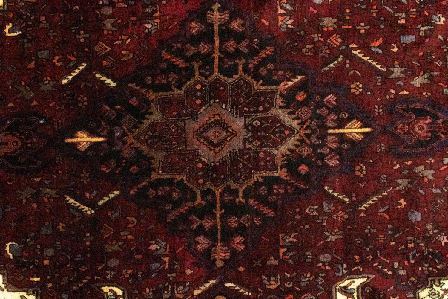 Perserteppich - Bidjar 244 x 146 cm