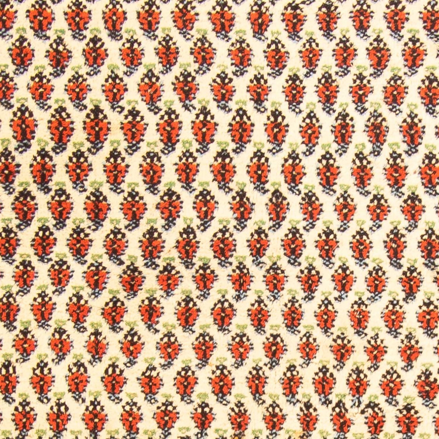 Tapis oriental - Mir - Indus - 238 x 174 cm - beige