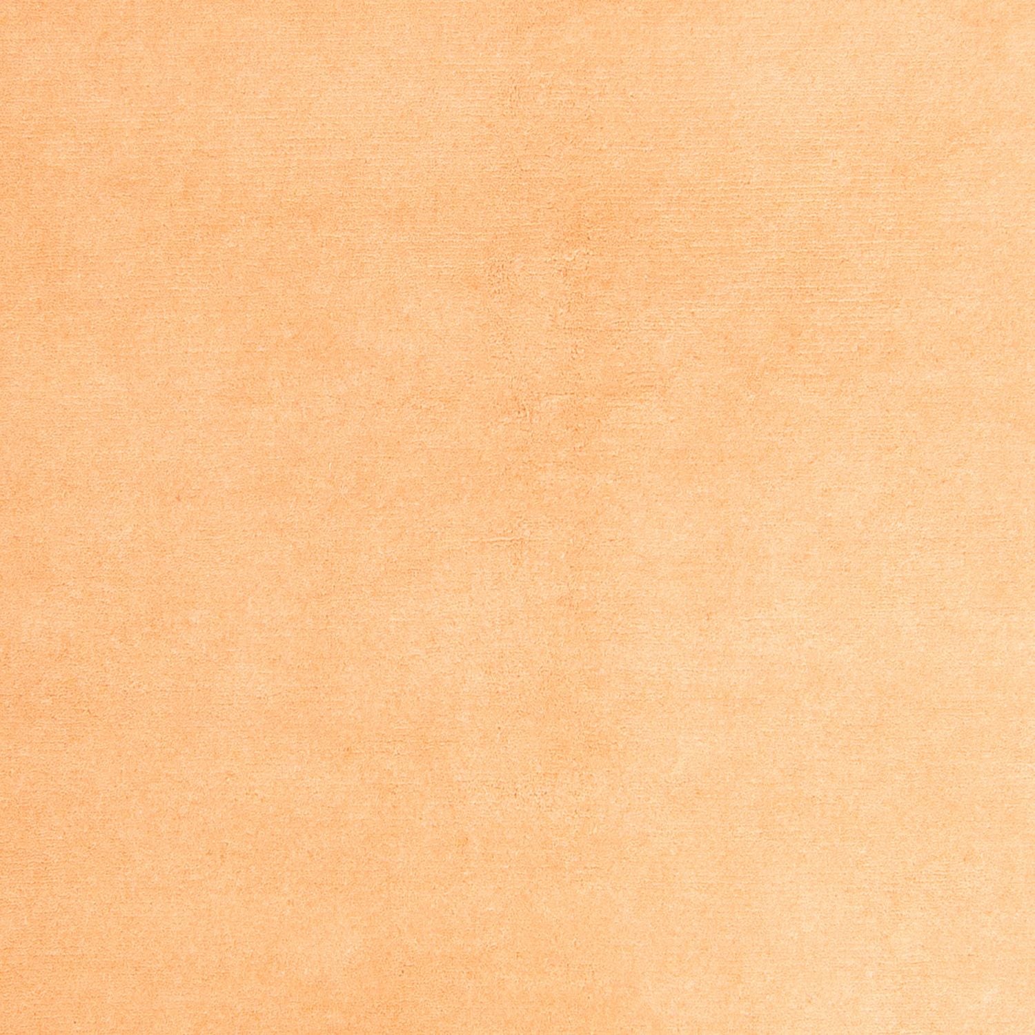 Tapis Népalais - 237 x 170 cm - beige