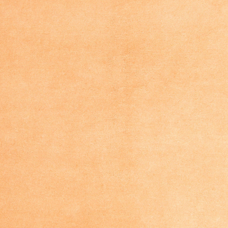 Tapis Népalais - 237 x 170 cm - beige