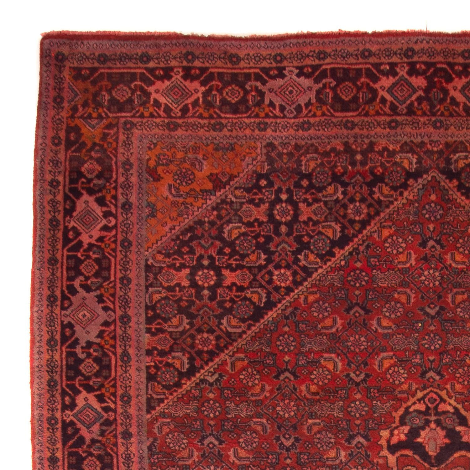 Tapis persan - Bidjar - 327 x 220 cm - rouge foncé