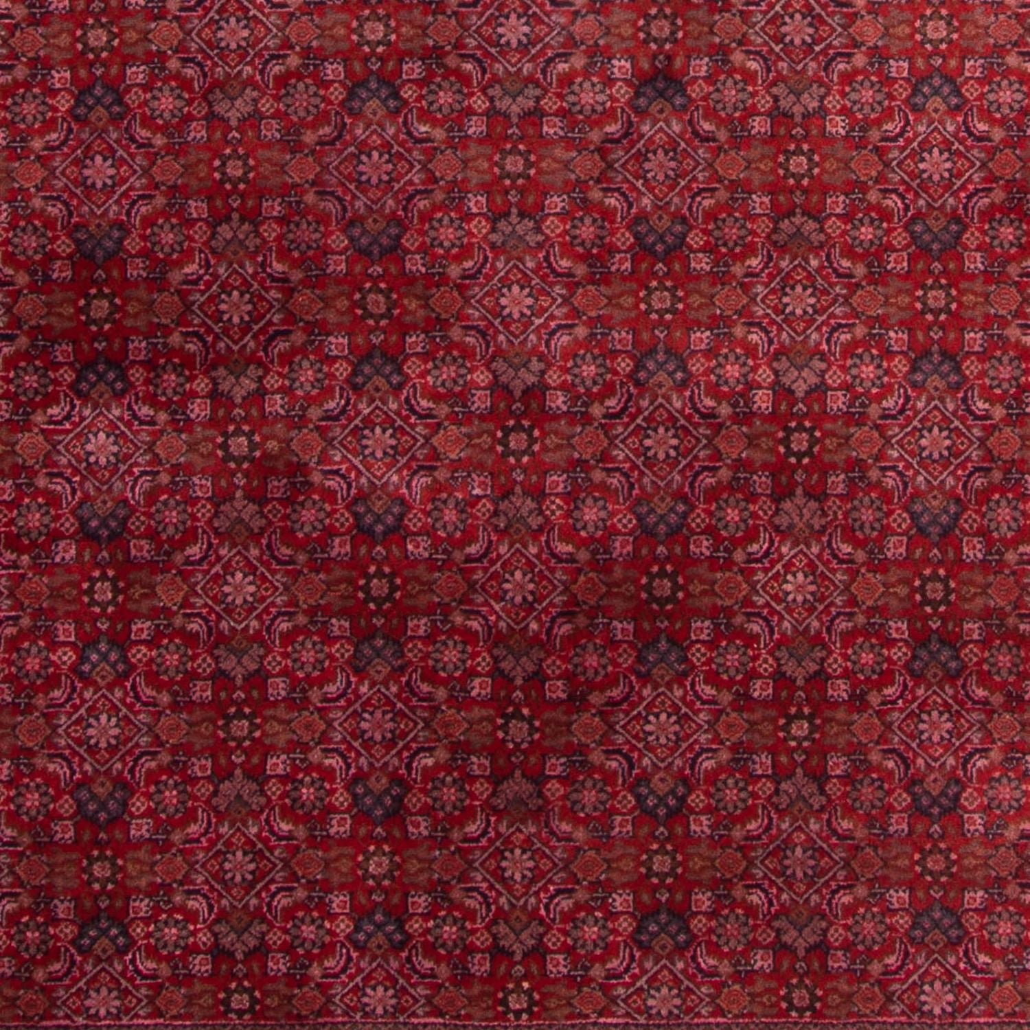 Tapis oriental - Bidjar - Indus - 300 x 200 cm - rouge