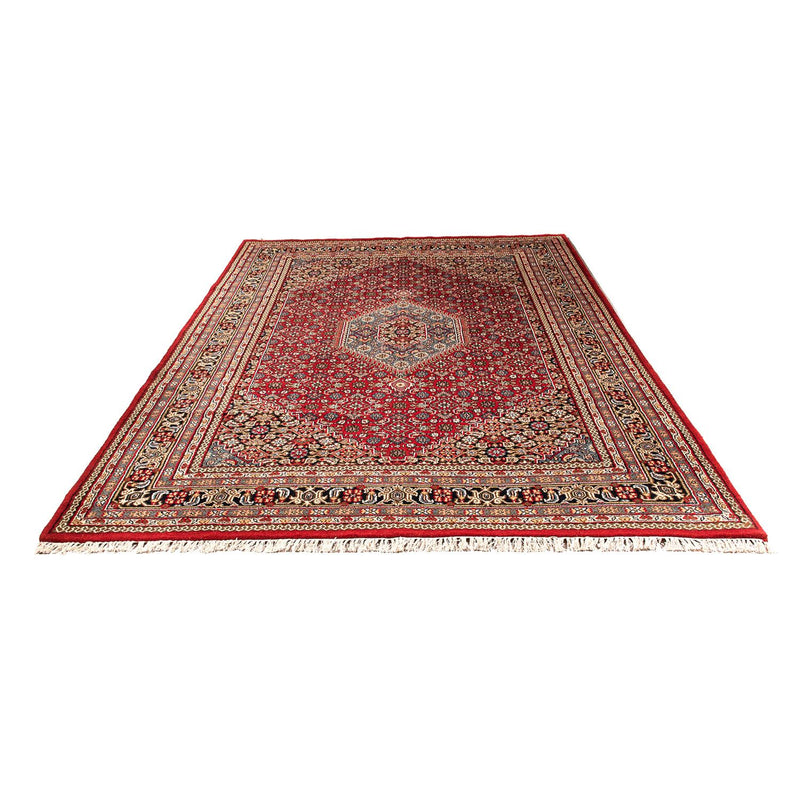 Tapis oriental - Bidjar - Indus - 300 x 200 cm - rouge