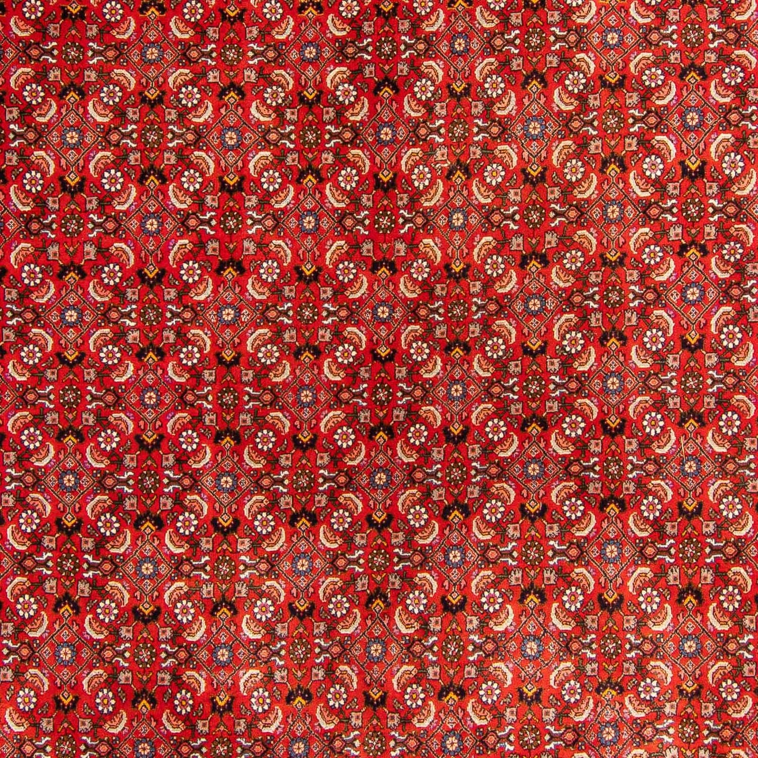 Tapis persan - Bidjar - 300 x 204 cm - rouge