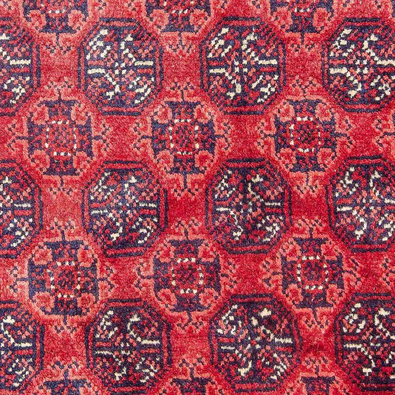Tapis afghan - Boukhara - 299 x 195 cm - rouge