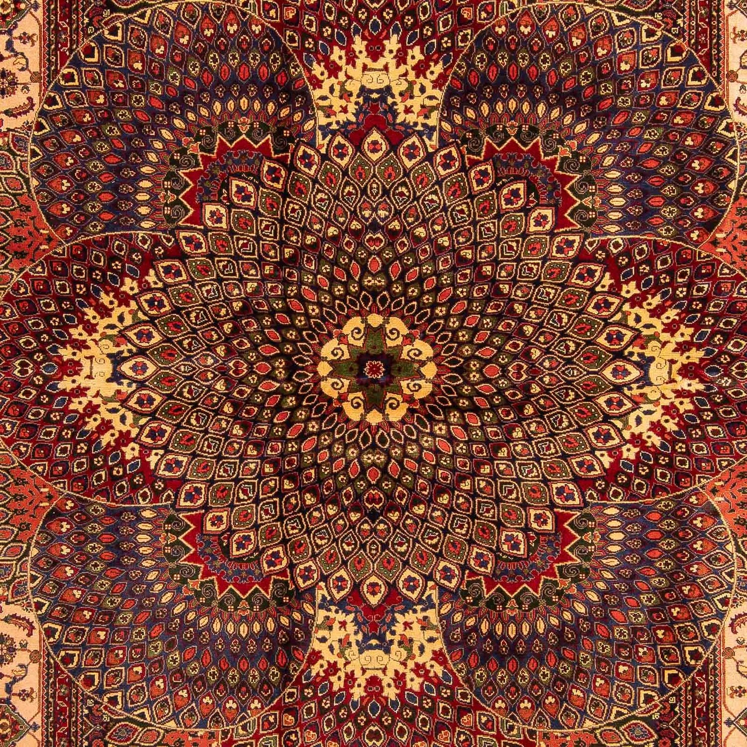 Tapis afghan - 279 x 198 cm - multicolore