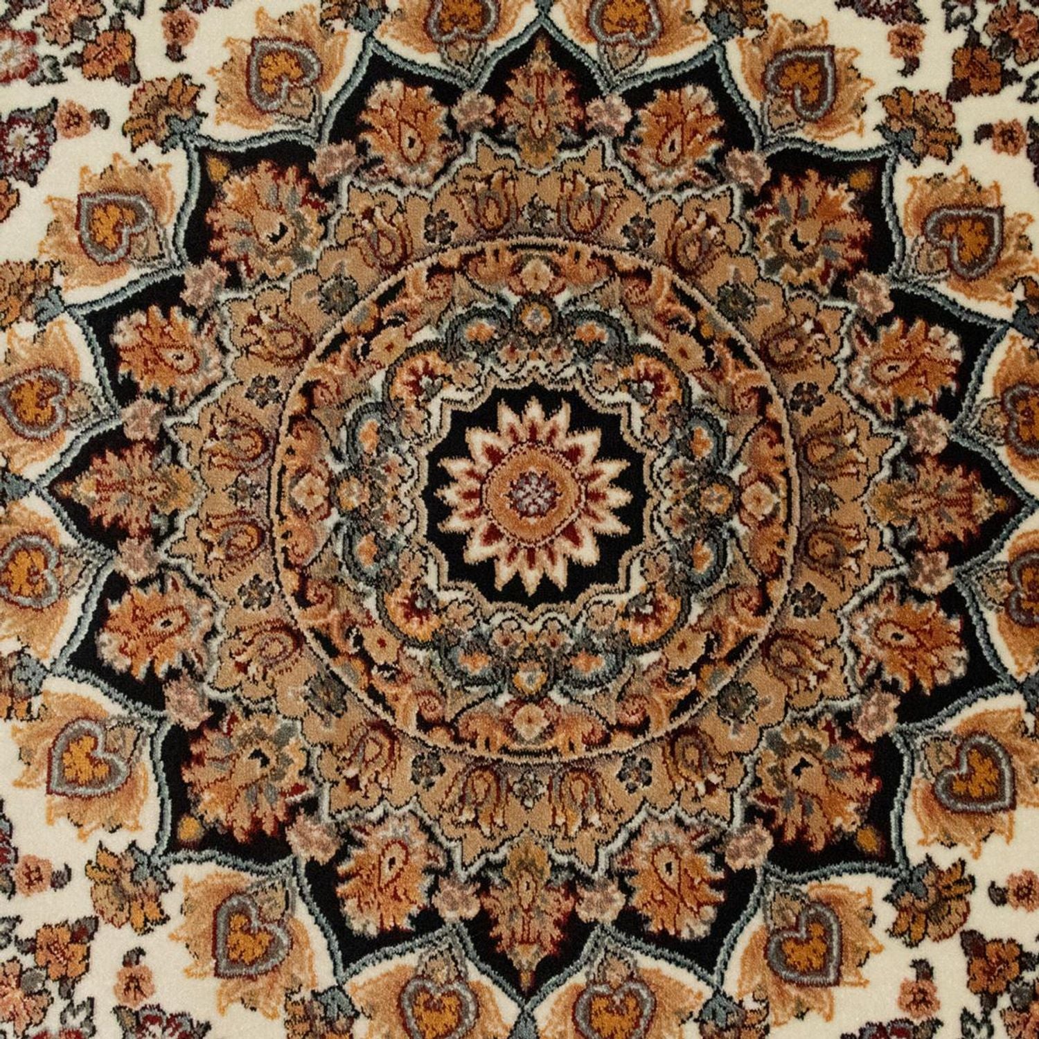 CR5-M101-225x150O