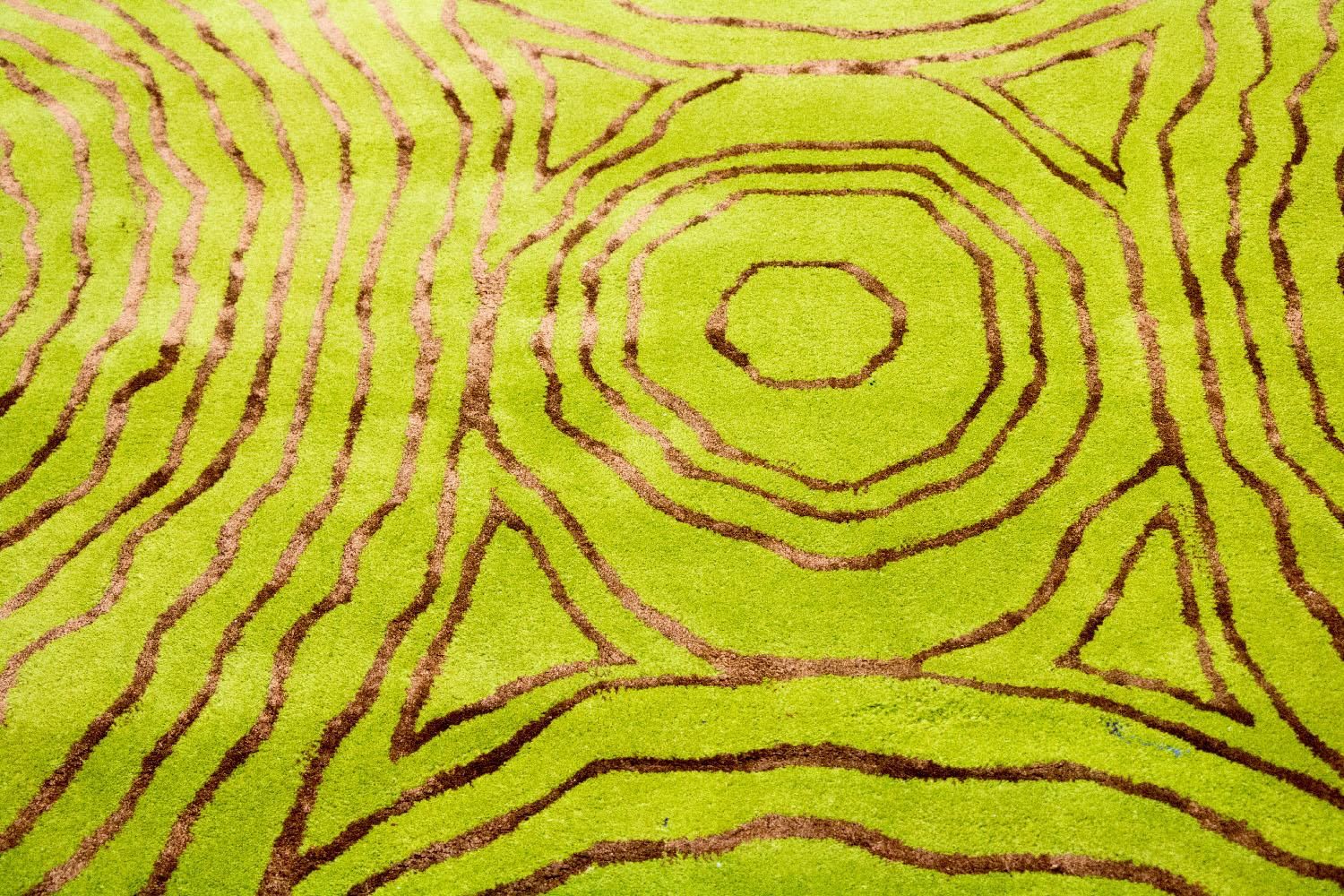 Tapis design - 241 x 152 cm - vert clair