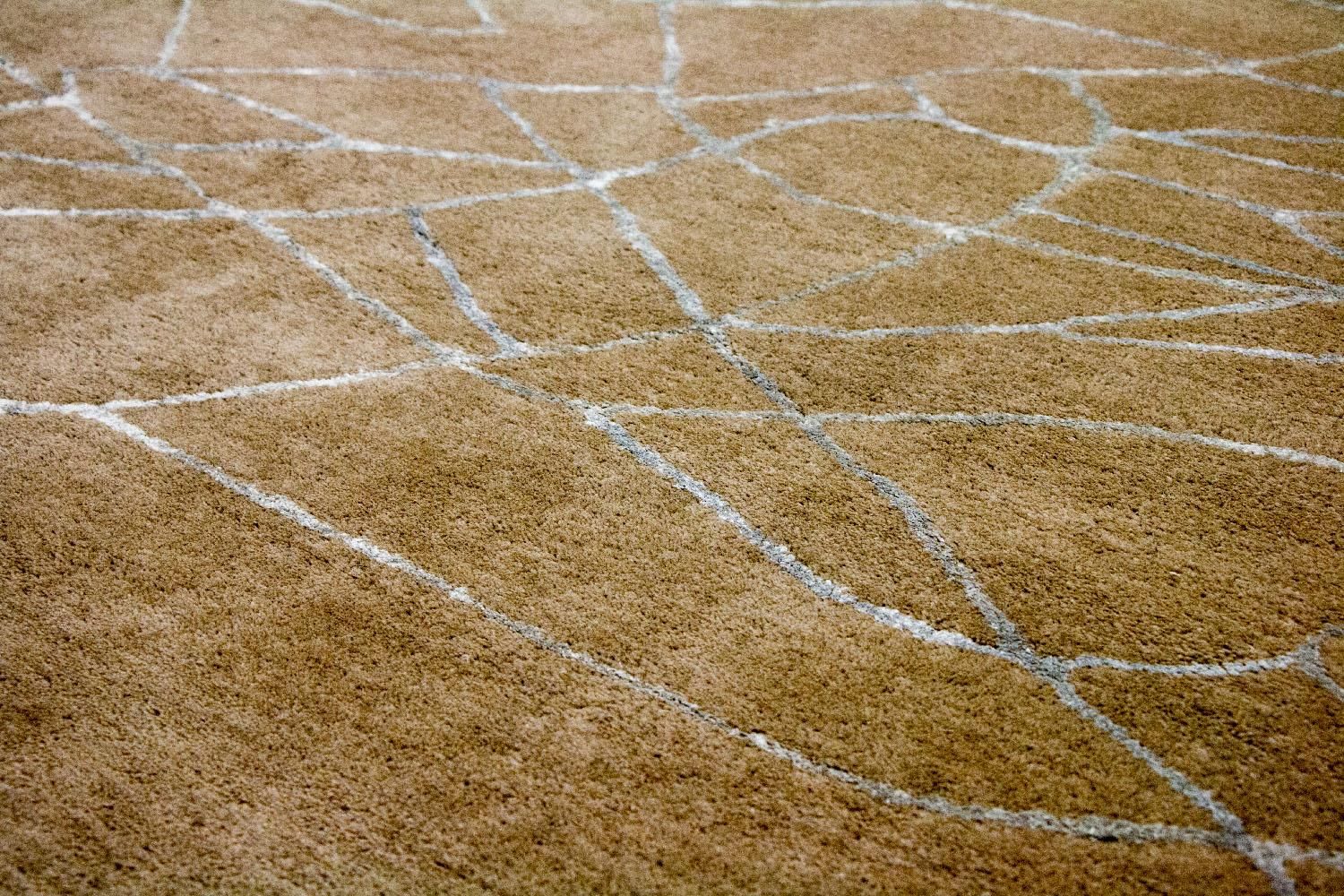 Tapis design - 243 x 150 cm - marron