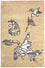 Designer Teppich 241 x 154 cm Teppich Wohnzimmer
