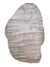 Beige foncé
