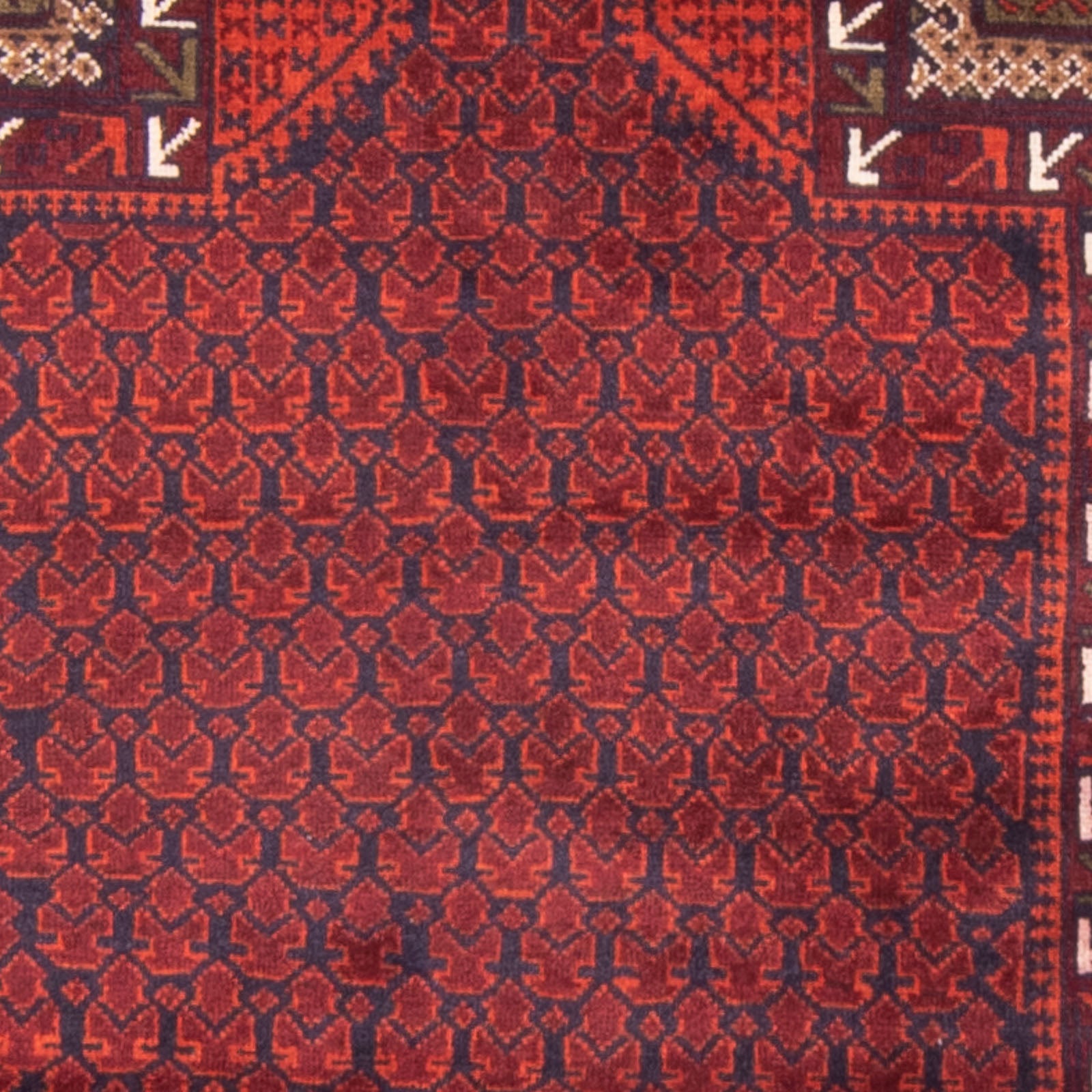 Tapis Belutsch - Tapis de prière - 150 x 96 cm - rouge