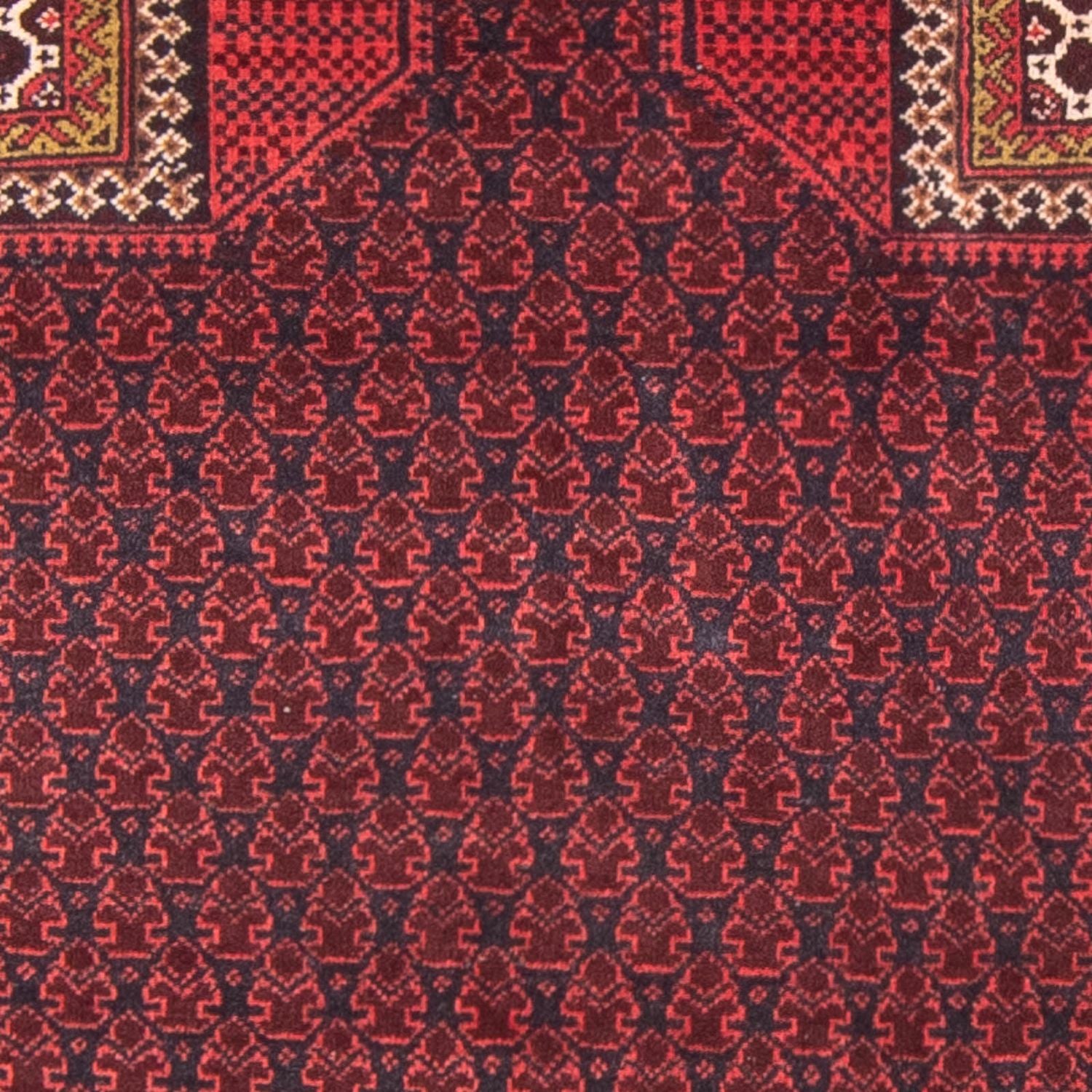 Tapis Belutsch - Tapis de prière - 140 x 91 cm - bleu foncé