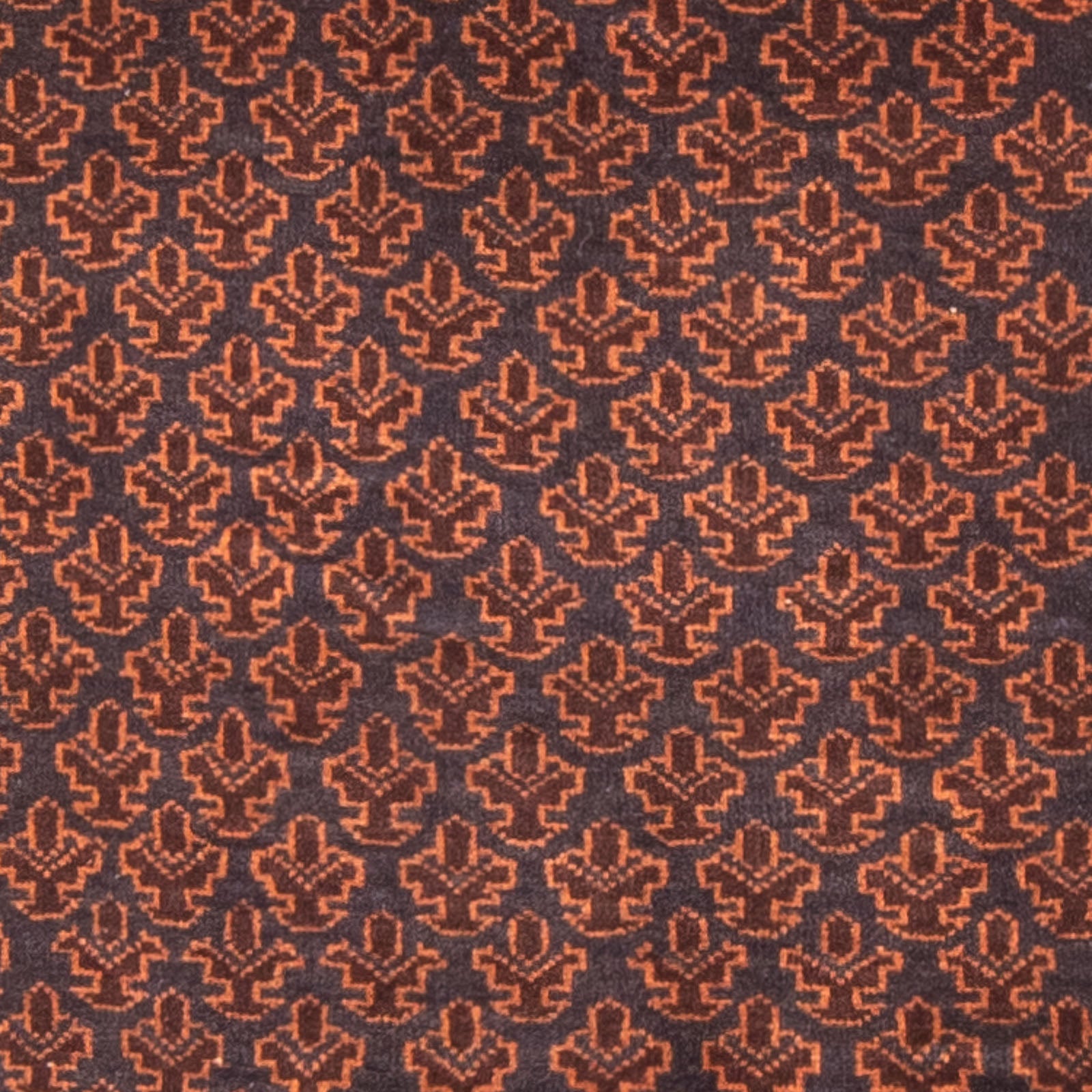 Tapis Belutsch - Tapis de prière - 147 x 91 cm - bleu foncé