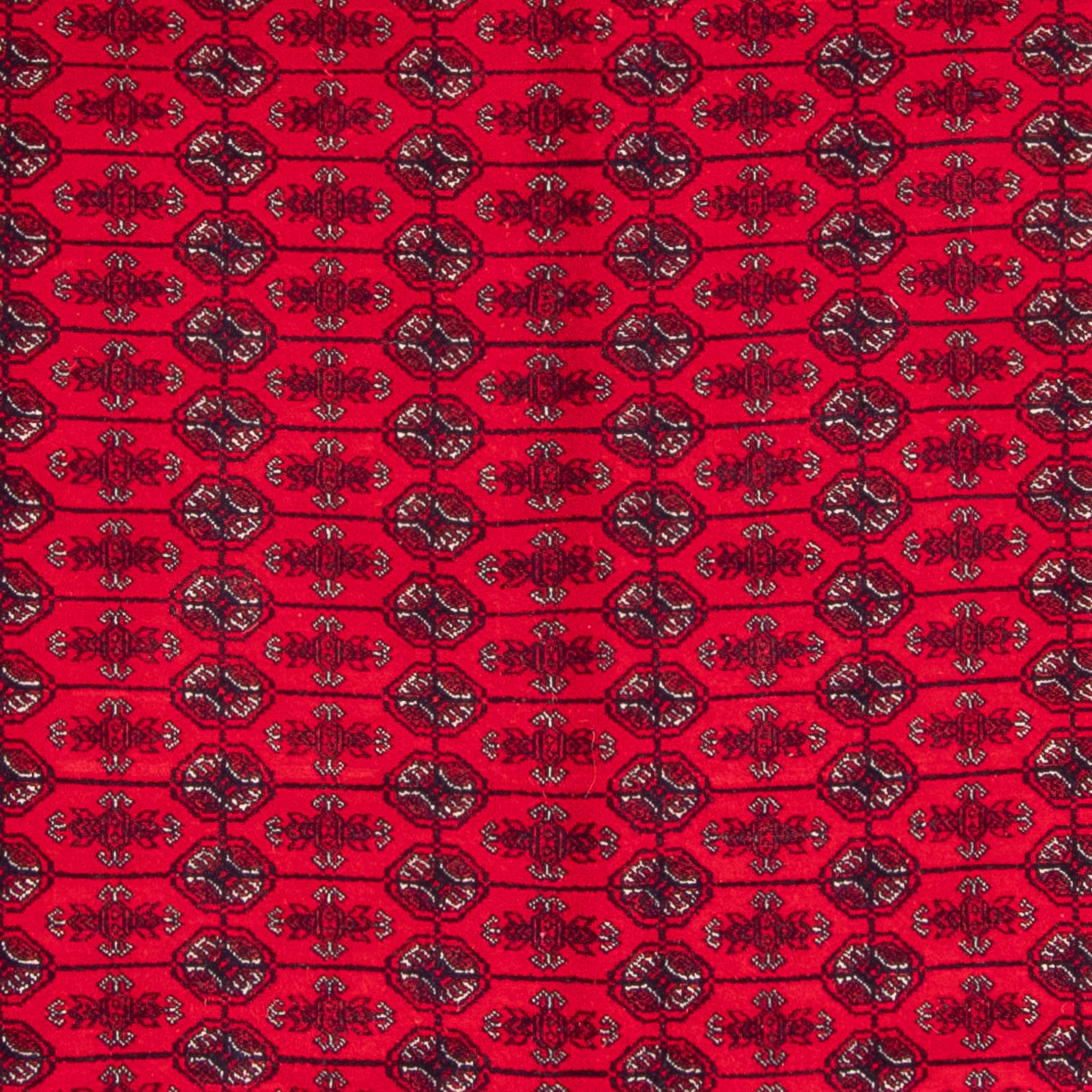 Tapis afghan - Boukhara - 292 x 200 cm - rouge
