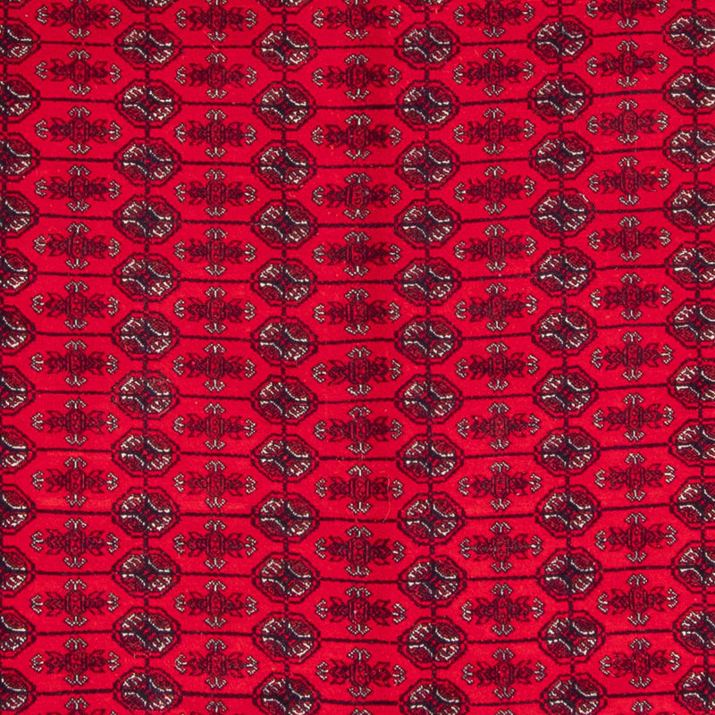 Tapis afghan - Boukhara - 292 x 200 cm - rouge