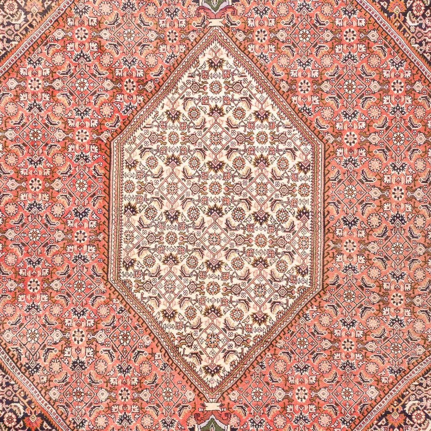 Tapis persan - Bidjar - 287 x 198 cm - rouge clair