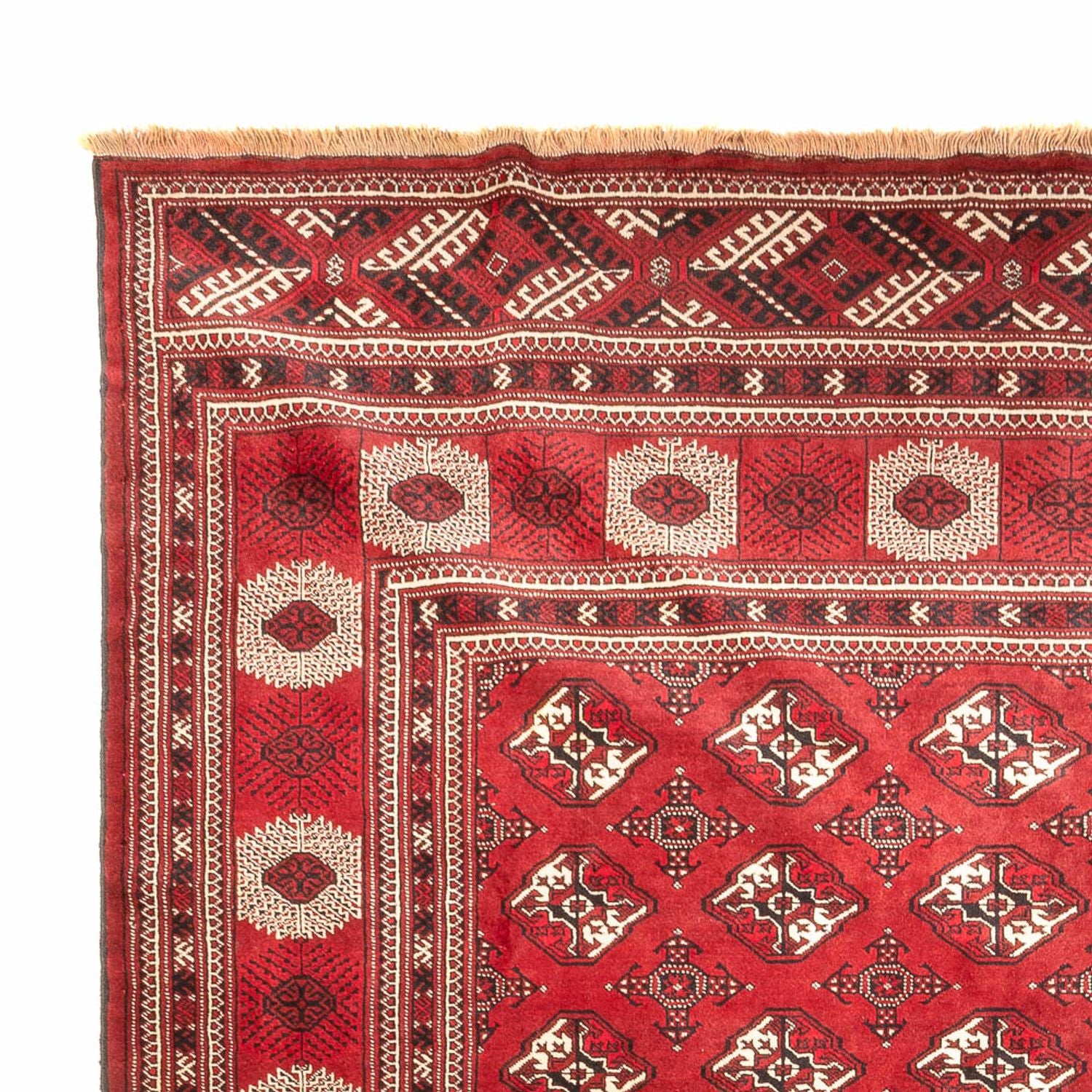 Tapis Turkaman - 391 x 270 cm - rouge