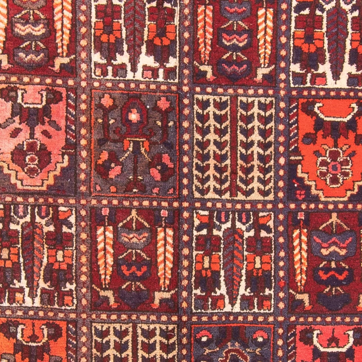 Tapis de couloir Tapis persan - Nomadic - 290 x 158 cm - multicolore