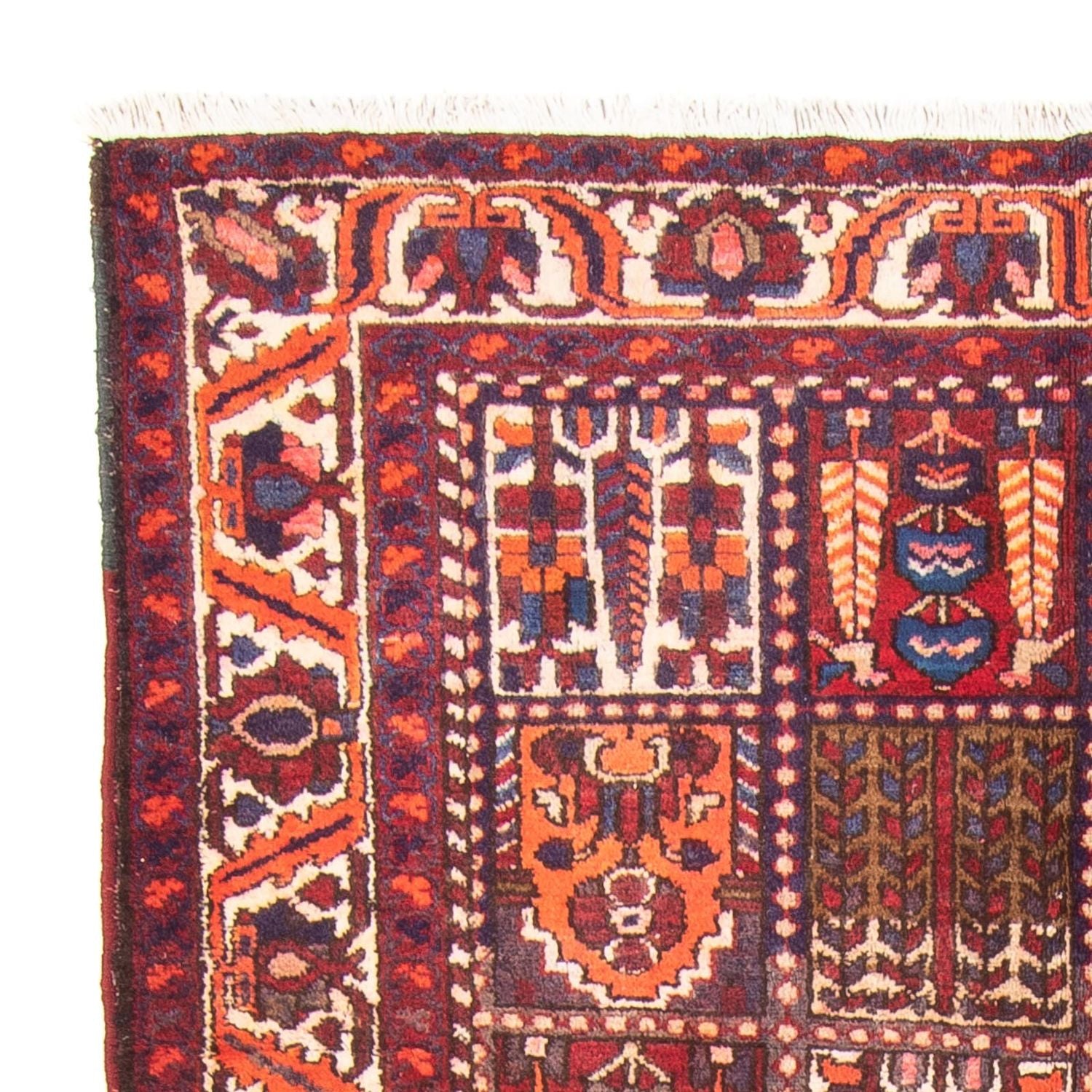 Tapis de couloir Tapis persan - Nomadic - 290 x 158 cm - multicolore
