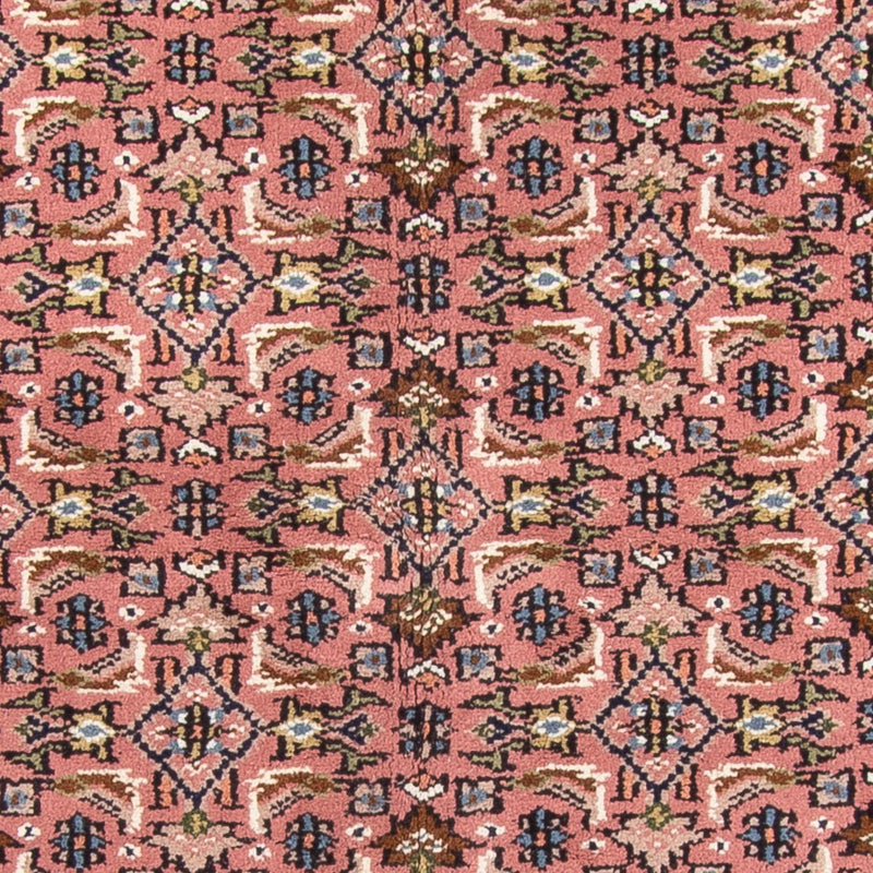 Tapis oriental - Bidjar - Indus - 240 x 170 cm - saumon