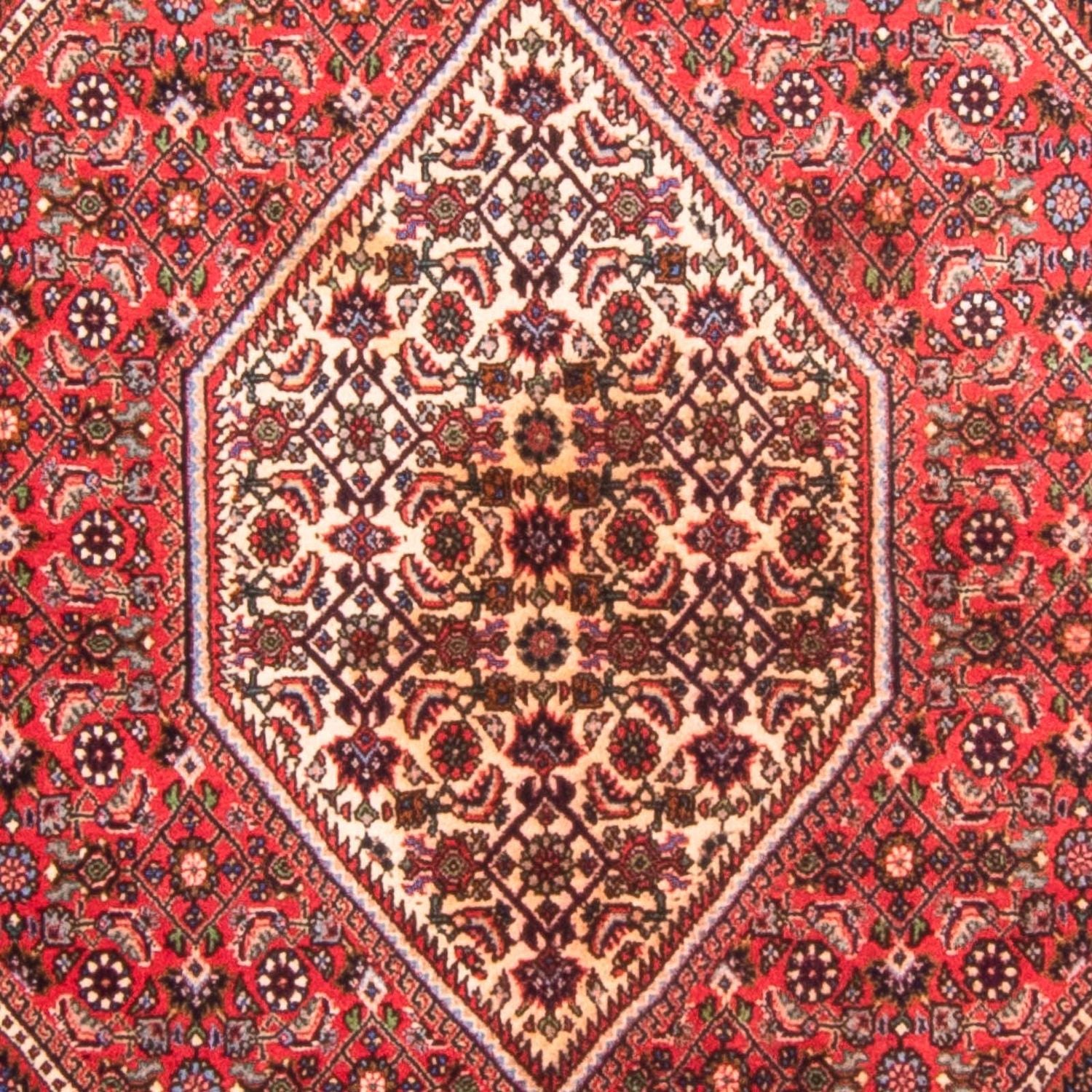 Tapis persan - Bidjar - 170 x 114 cm - rouge