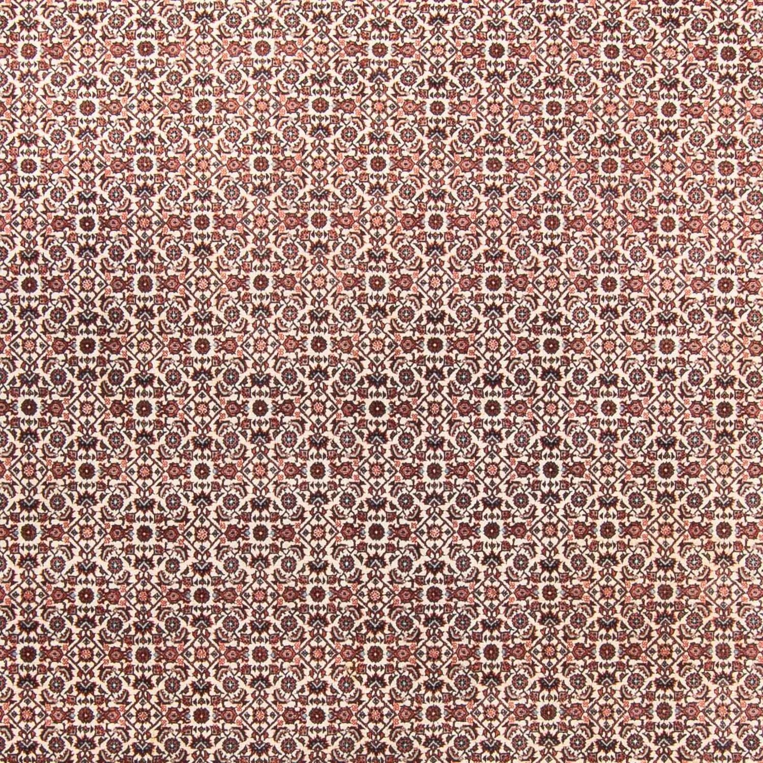 Tapis persan - Bidjar - 340 x 250 cm - beige