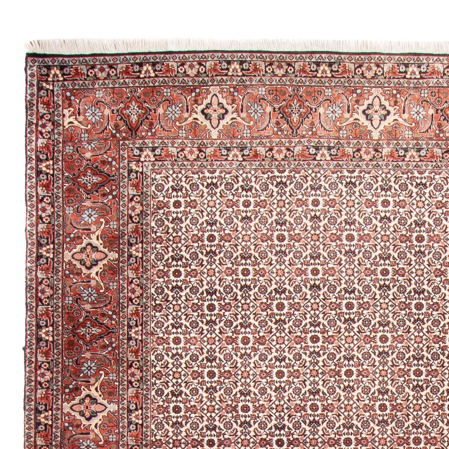 Tapis persan - Bidjar - 340 x 250 cm - beige