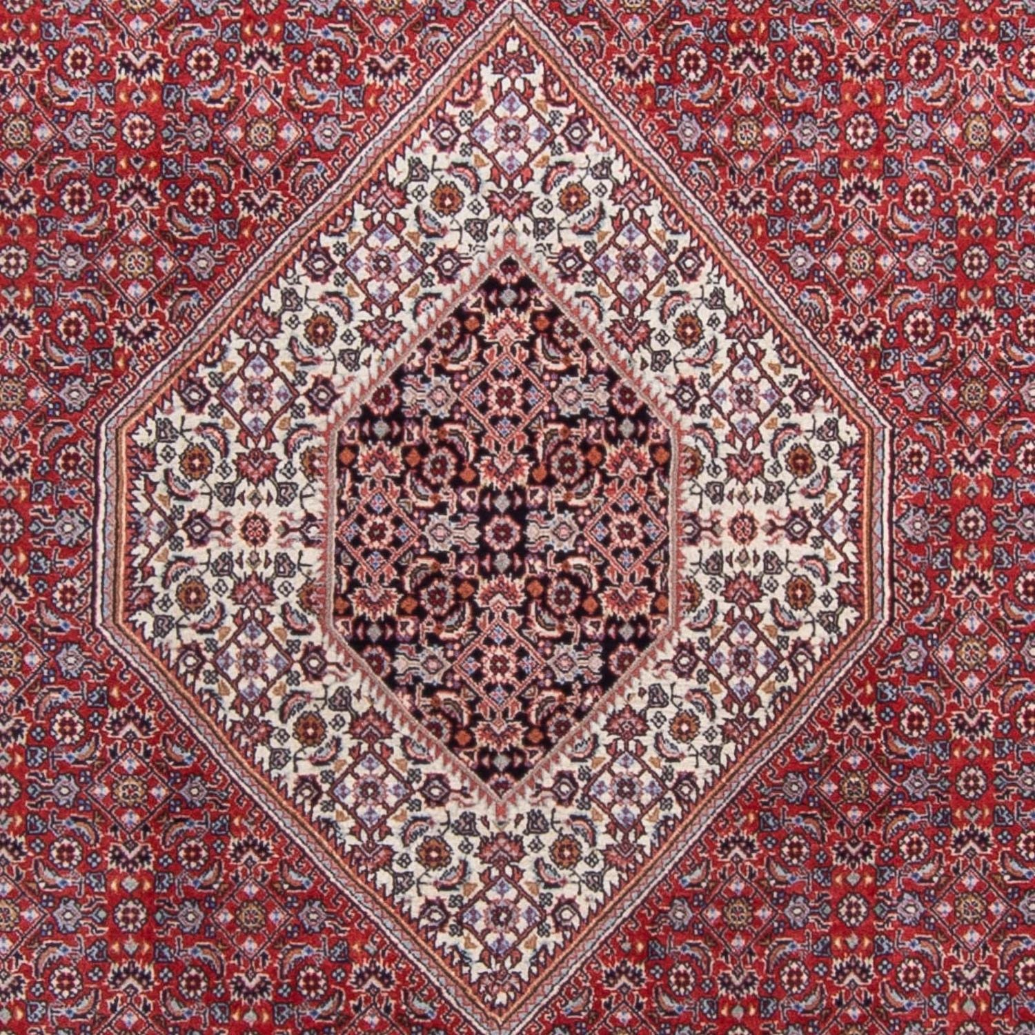 Tapis persan - Bidjar - 290 x 200 cm - rouge
