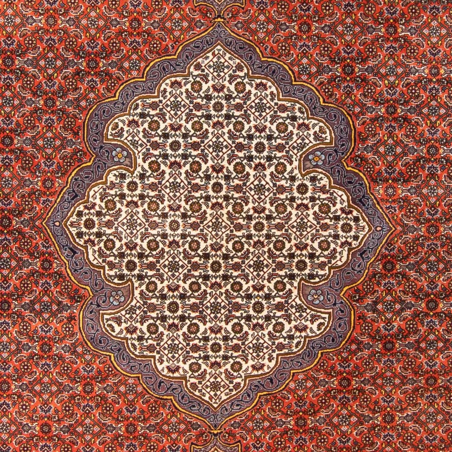 Tapis persan - Bidjar - 312 x 205 cm - orange