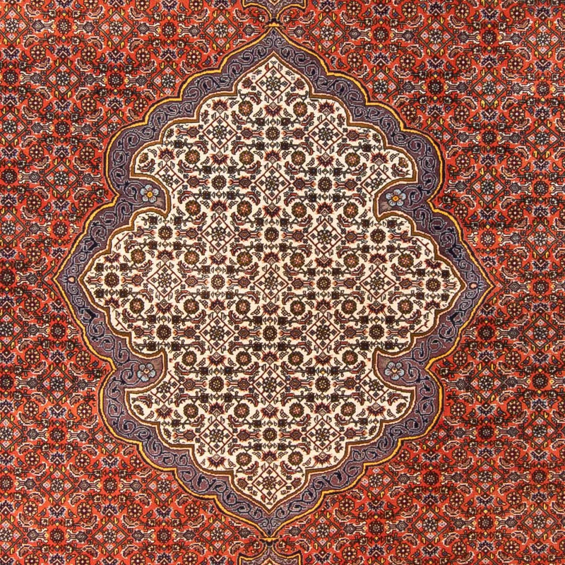 Tapis persan - Bidjar - 312 x 205 cm - orange