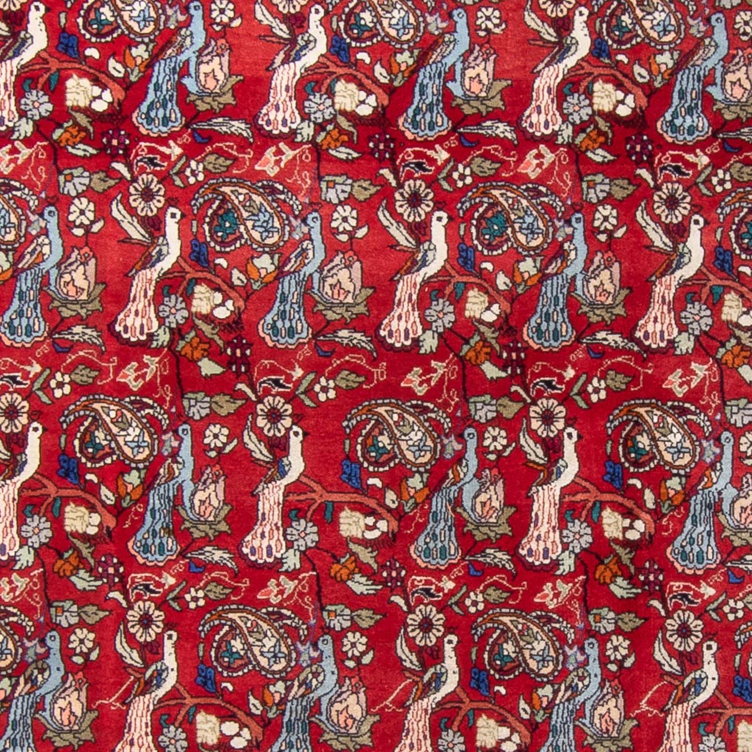 Tapis persan - Bidjar - 280 x 180 cm - rouge