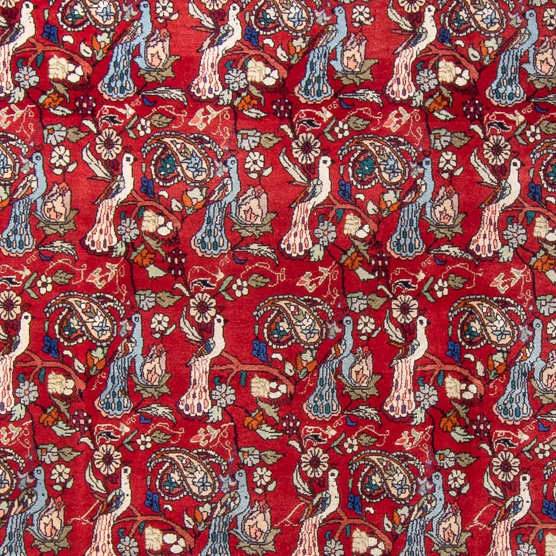 Tapis persan - Bidjar - 280 x 180 cm - rouge