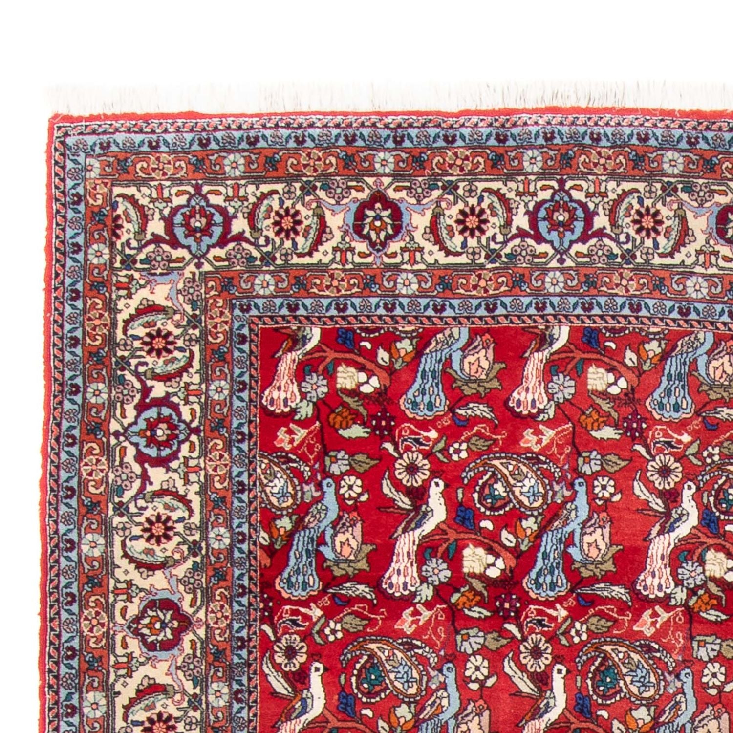 Tapis persan - Bidjar - 280 x 180 cm - rouge