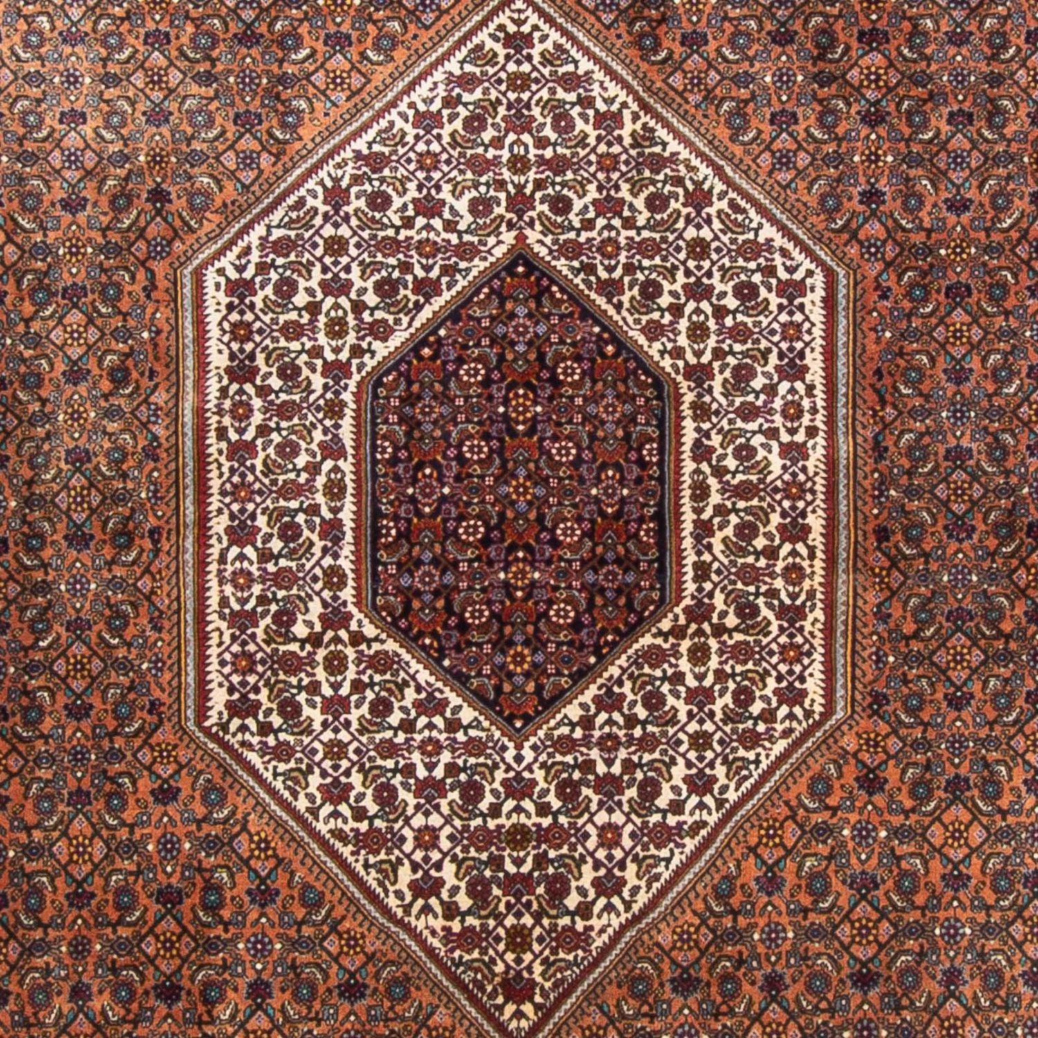 Tapis persan - Bidjar - 305 x 210 cm - marron