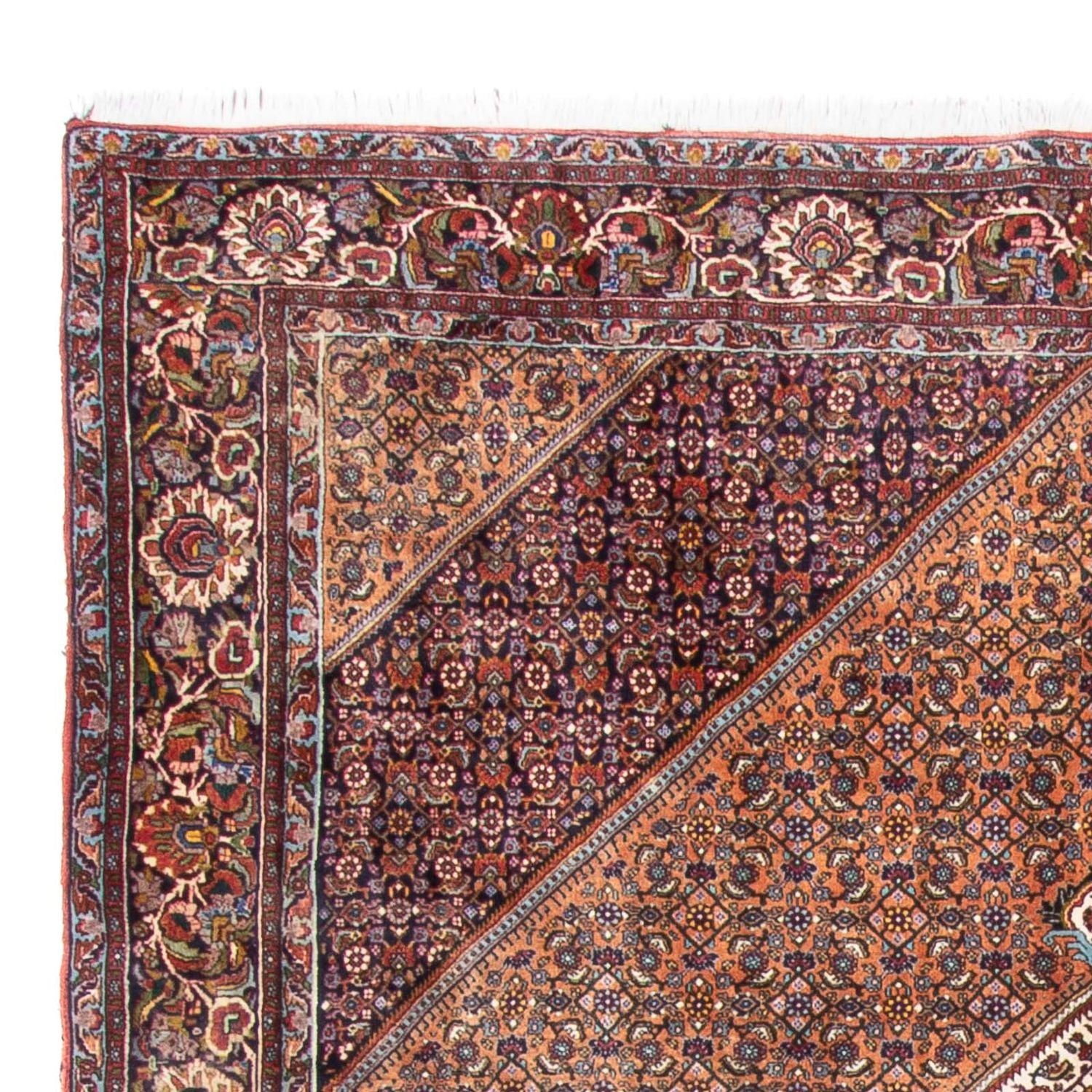 Tapis persan - Bidjar - 305 x 210 cm - marron